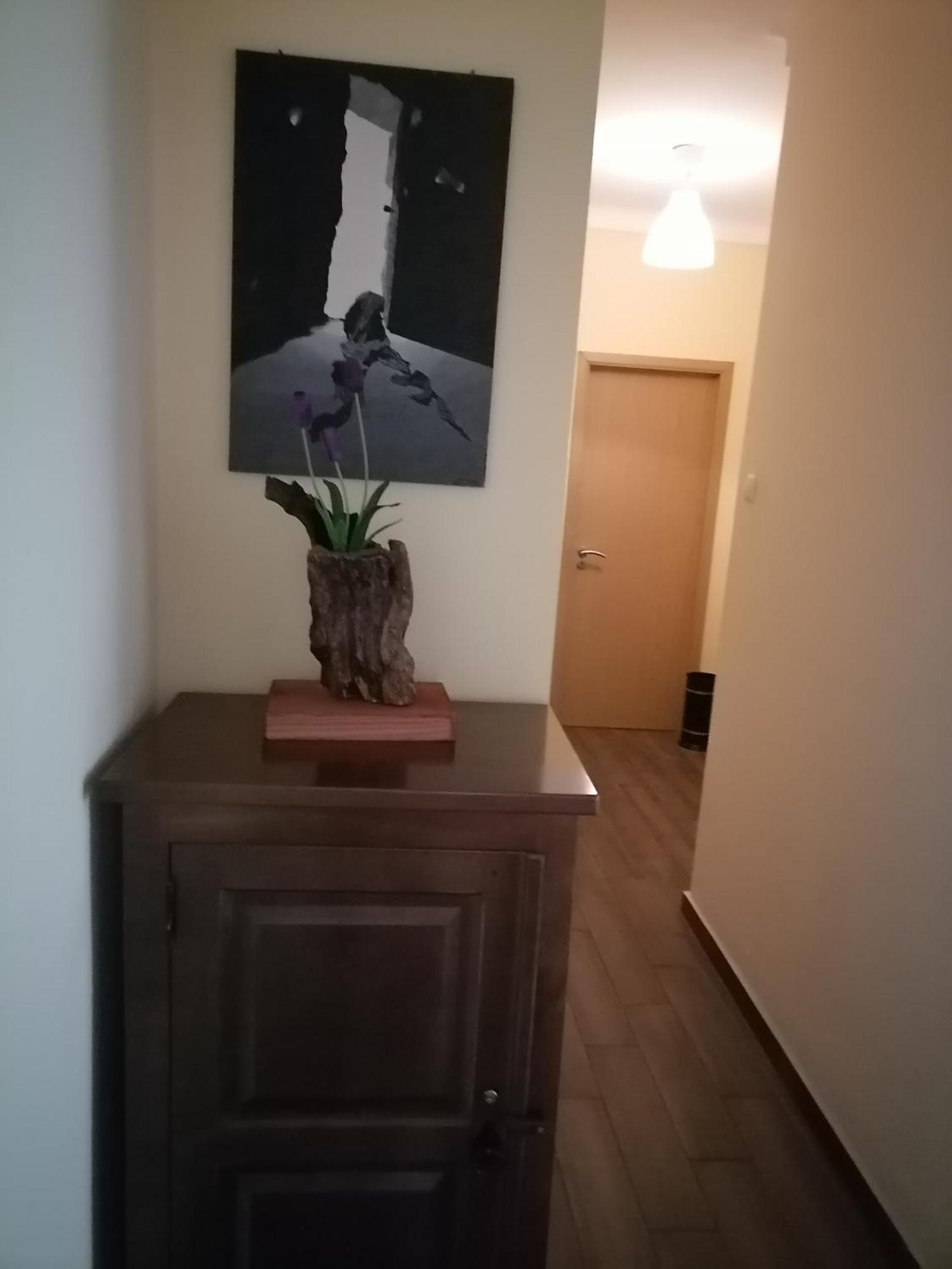 קאסטלו בראנקו Casa Das 4 Estacoes מראה חיצוני תמונה